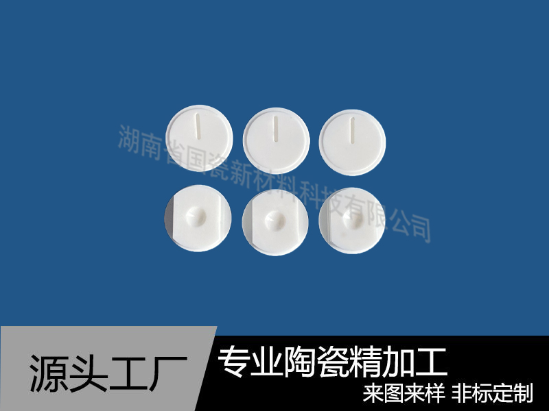 氧化锆旋转阀动片